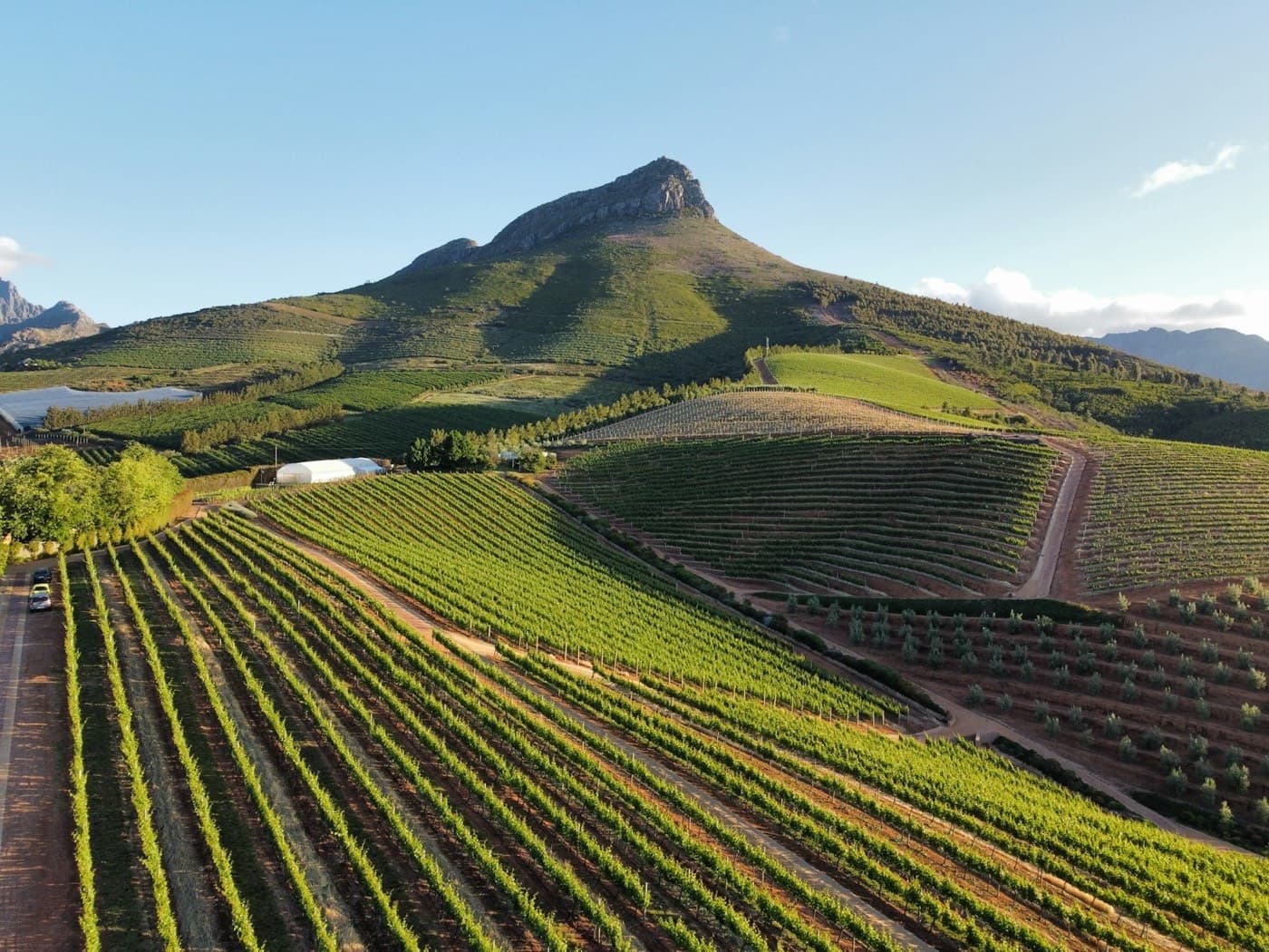 A large field with a mountain in the background