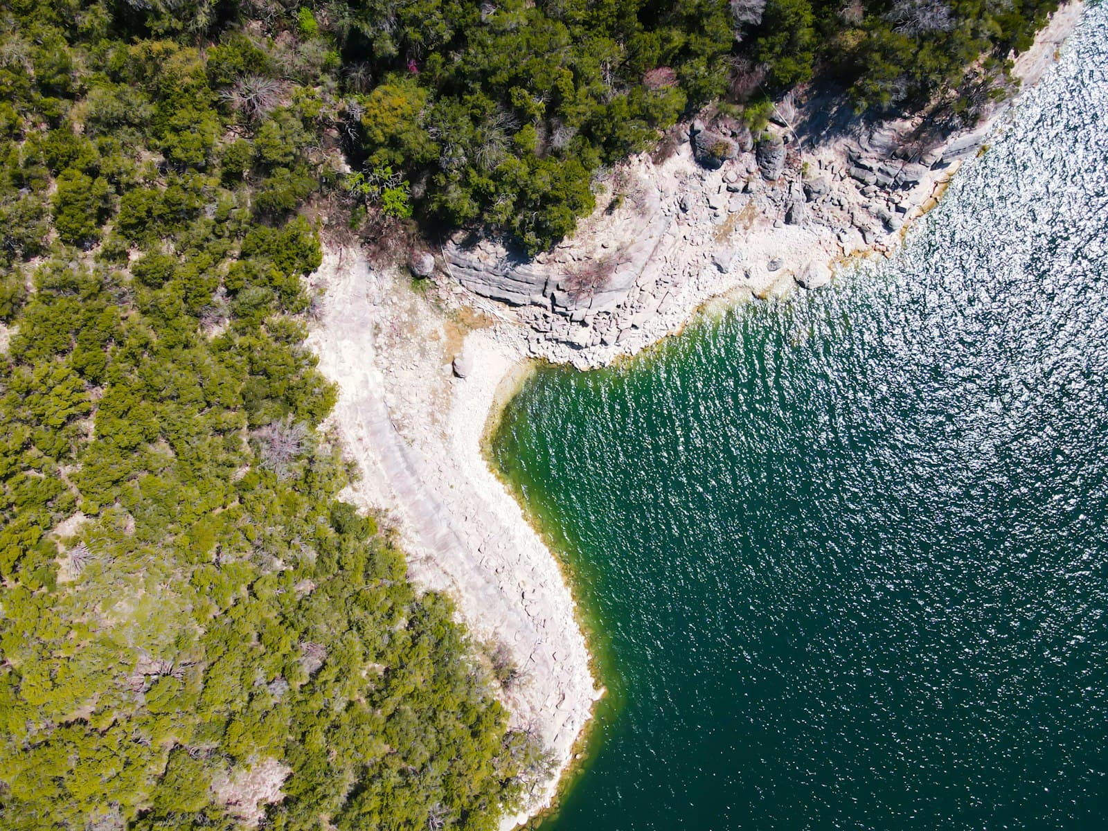 An aerial view of a body of water surrounded by trees