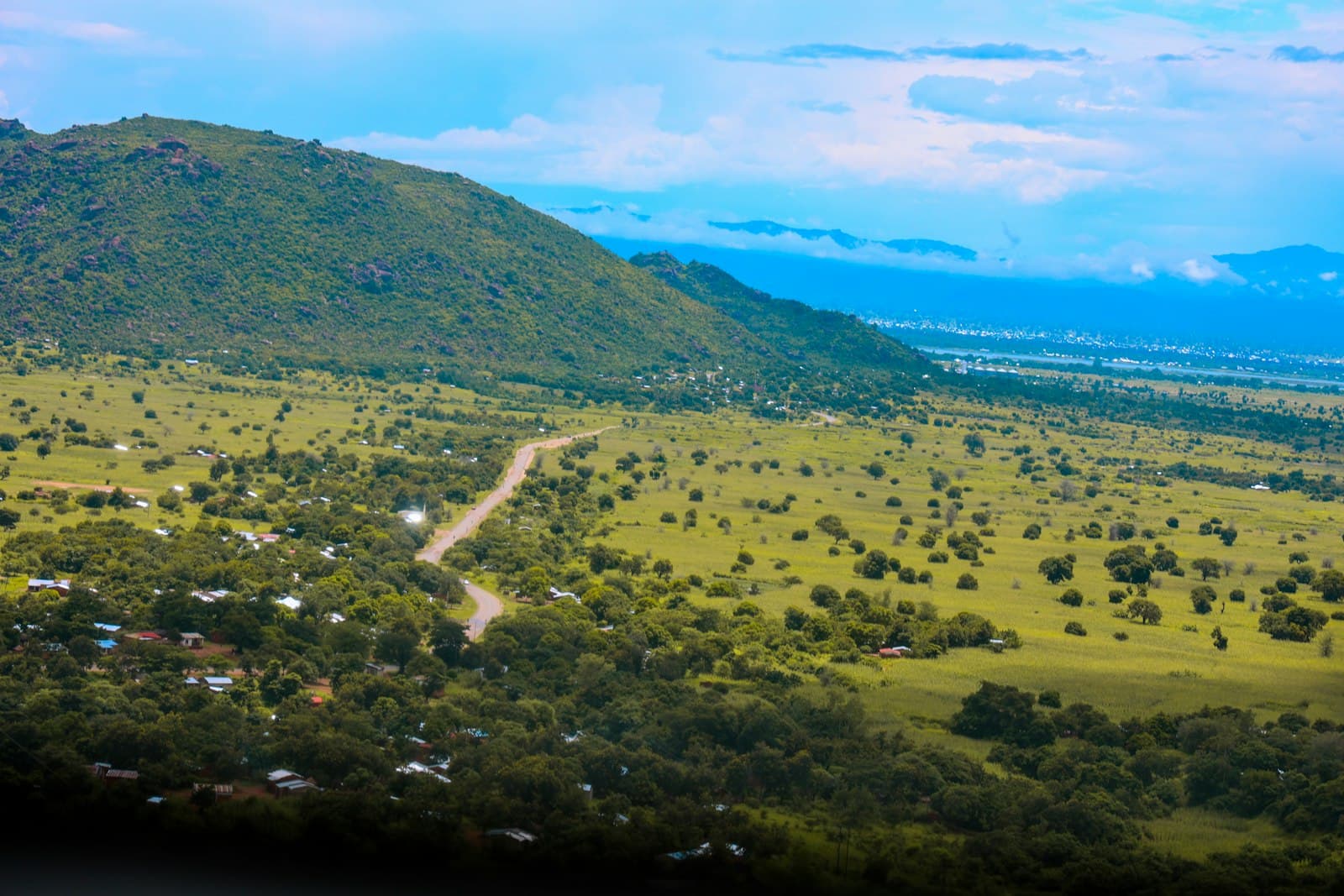 Expansive green landscape with rolling hills and scattered trees