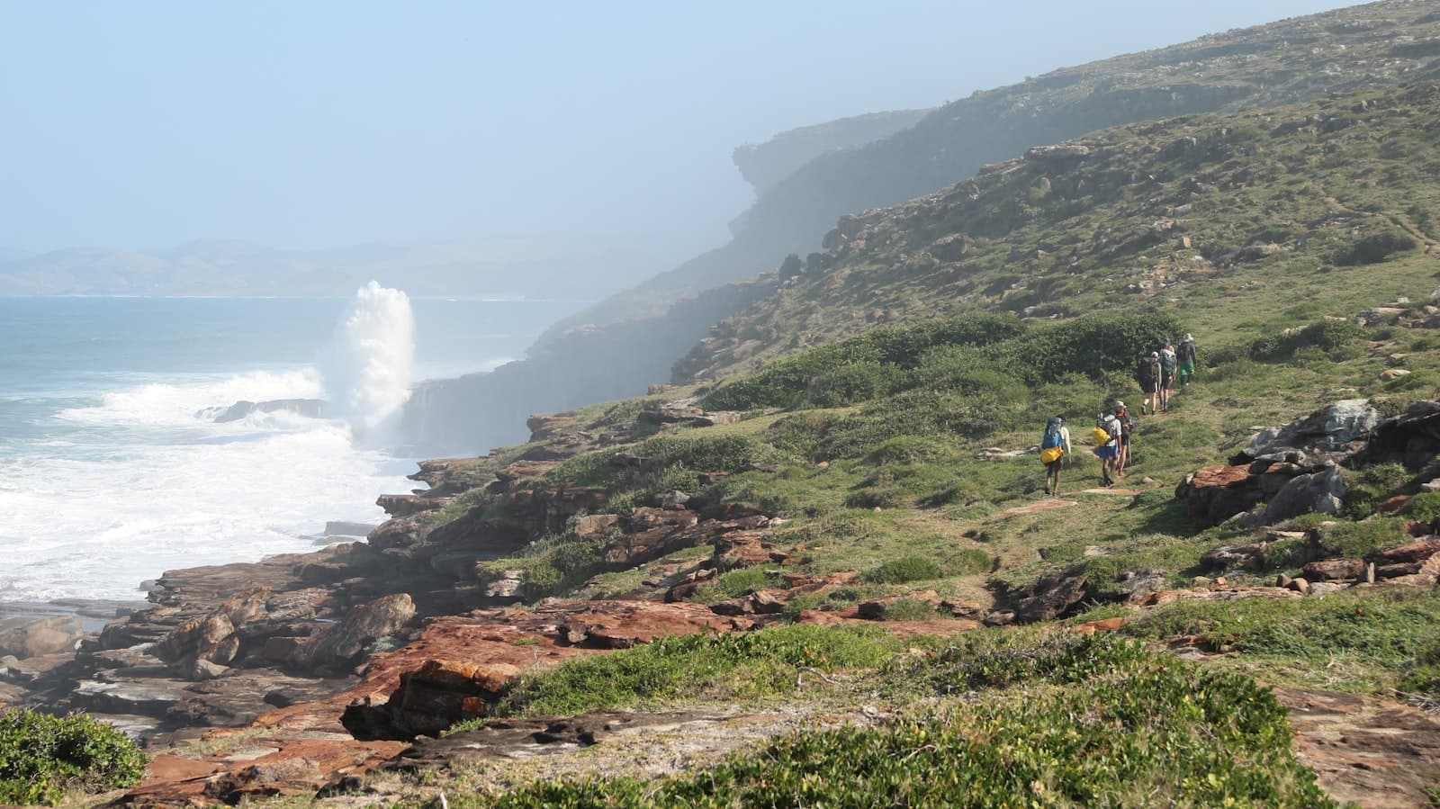 A group of people walking up a hill next to the ocean