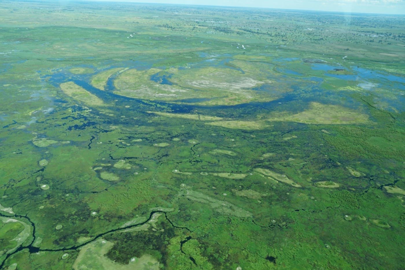 An aerial view of a river running through a lush green field