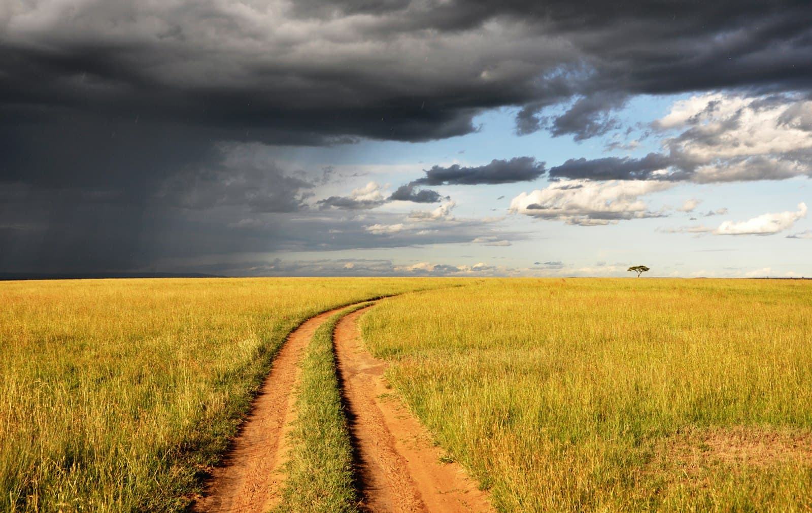 Green grass field under white clouds