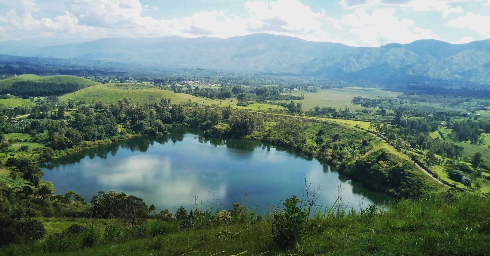 High-angle photography of lake at the forest